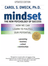 mindset book