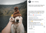buffer instragram customer stories